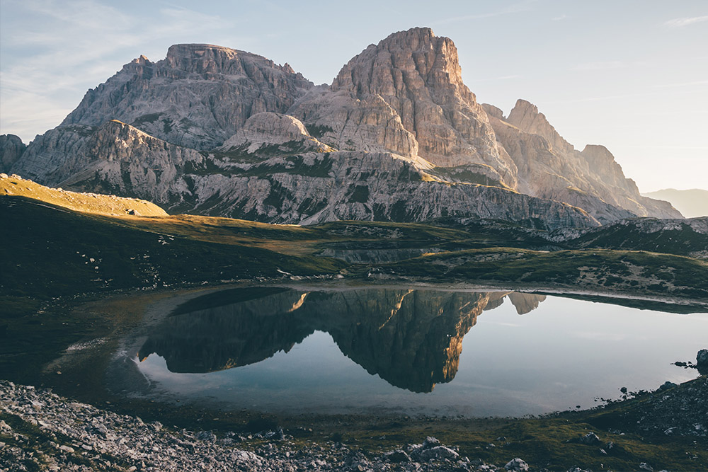Professional Reflections