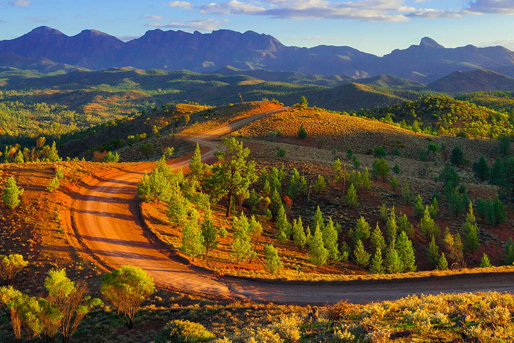 Road Less Traveled